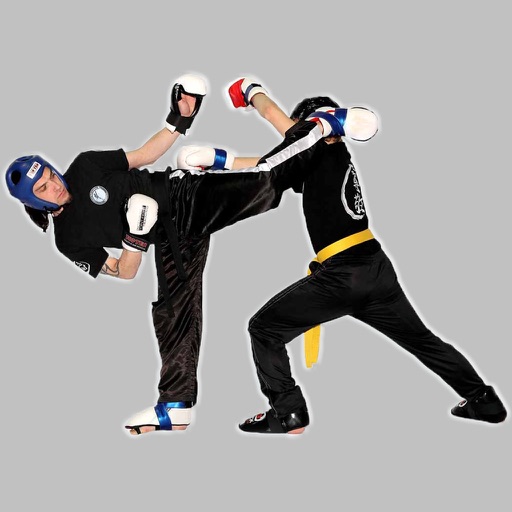 Kickboxing Training icon