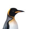 Penguin 3D