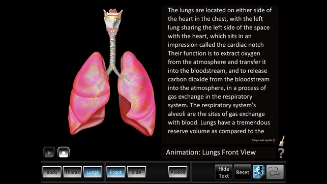 Respiration ID(圖4)-速報App