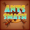 Ants Smash