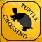 Turtle Crossing - An Animated, Interactive Storybook App