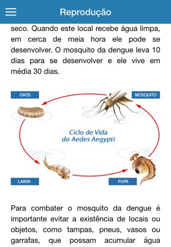 Aedes em Foco screenshot 2