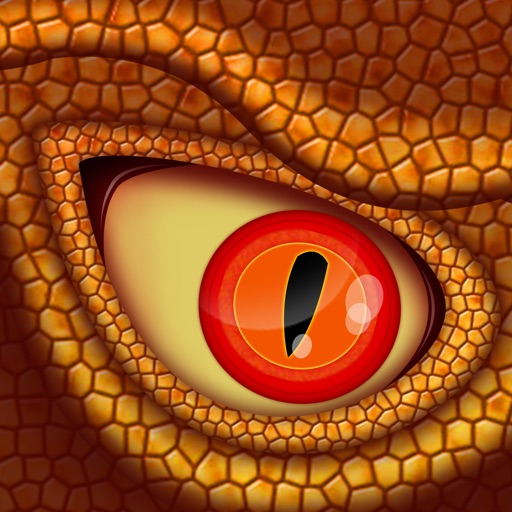 Wrath Of The Fire Dragon Pro - best monster fighting arcade game icon