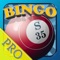 A All Las Vegas Bingo - Win The New Strip Big Slots Casino Machines Pro