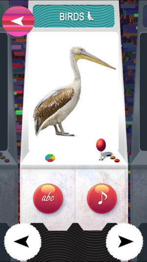 TOY - ZOO Animals And Birds Flash Cards - Free PreSchool Edu(圖3)-速報App