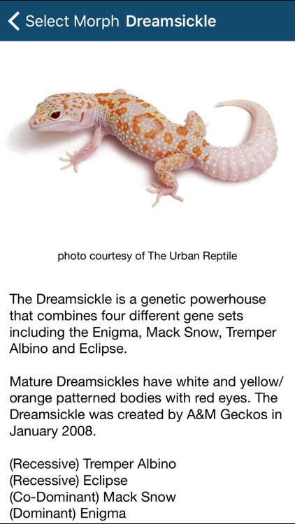Reptile Calculator screenshot-4