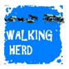 Walking Herd