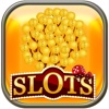 Golden 101 Wild Dolphins - FREE SLOTS