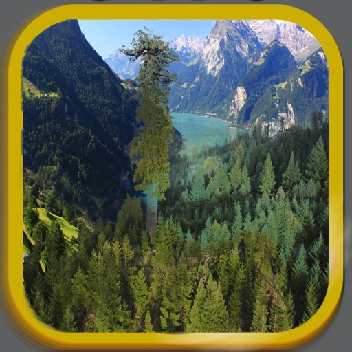 Oldest Tree iOS App