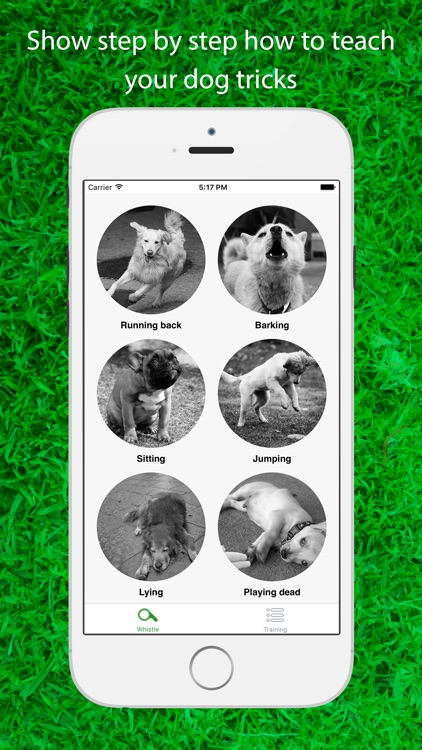 Dog Whistler : A Step by Step Guide to Teaching Your Puppy and Dog clicker sound