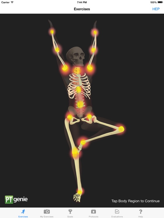 Physical Therapy Home Exercises