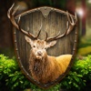 Wild Deer Shooting Game
