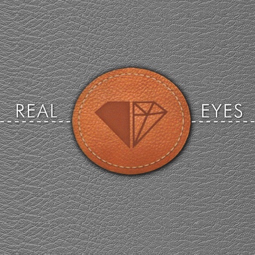 Agence Real Eyes icon