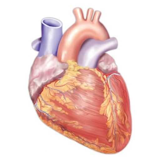 Cardiology Miniatlas