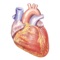 Amazing Cardiology application