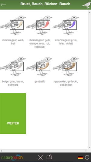 Vögel bestimmen, naturetouch(圖3)-速報App