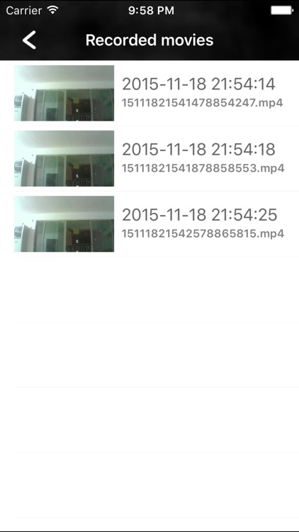 EasyN Pro: Multi IPCamera Video Recording & Export screenshot-3