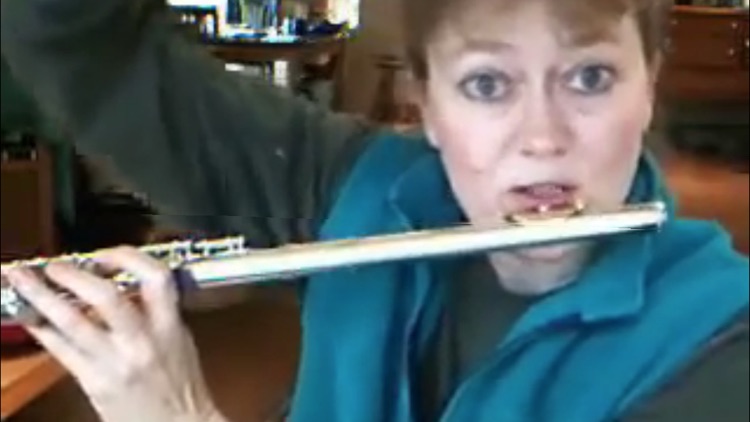 Teach Yourself Flute screenshot-3