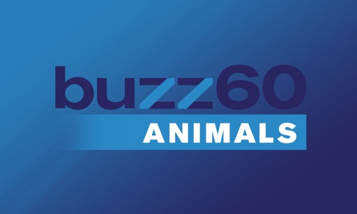 buzz60 Animals icon