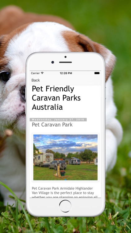 Pet Friendly Caravan Parks Australia