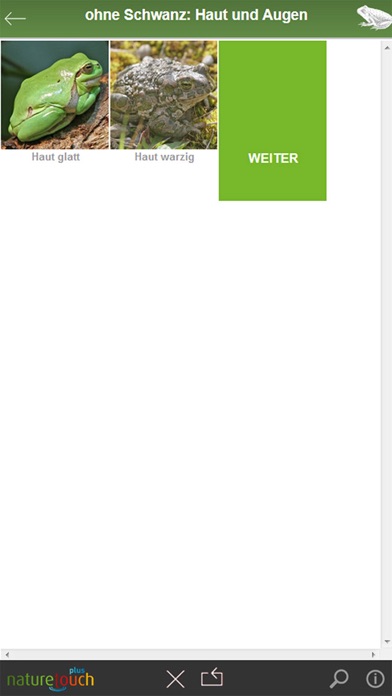 How to cancel & delete Frösche, Kröten, Unken bestimmen from iphone & ipad 2