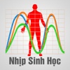 Nhịp Sinh Học