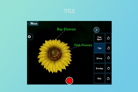 VR Sunflower screenshot 2