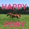 Happy Pony by Horse Reader