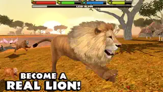 Ultimate Lion Simulator - Screenshot 1