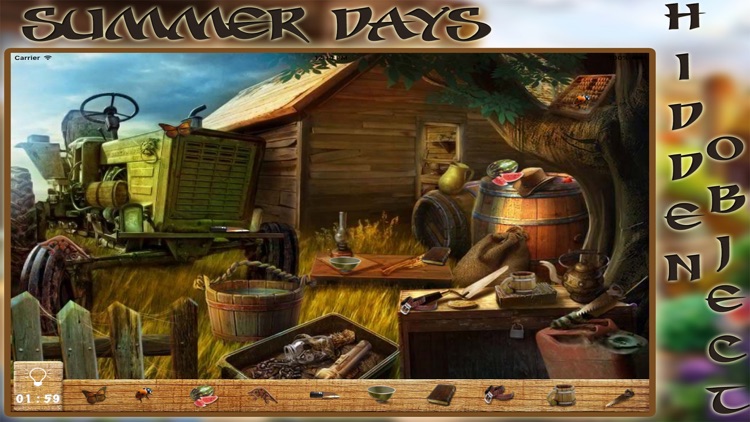 Summer Days Hidden Object screenshot-3