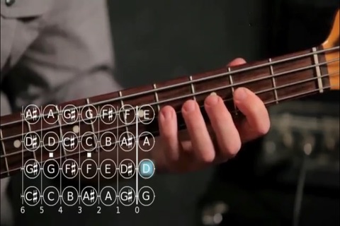 Play Bass screenshot 4