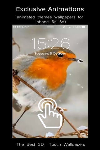 Live HD - Animals and Nature. screenshot 2