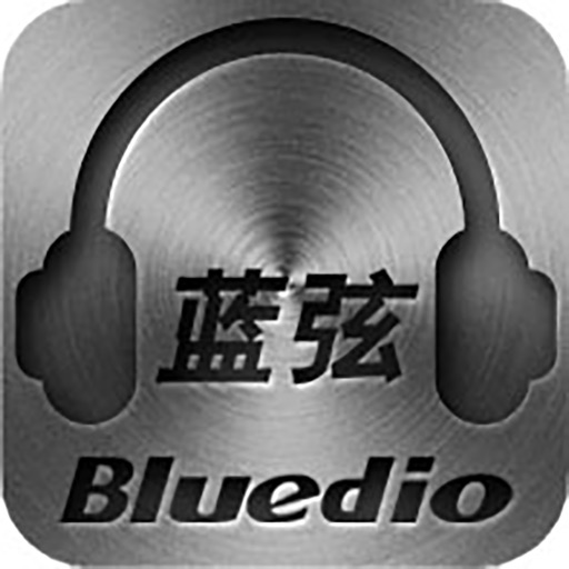 Bluedio WIFI