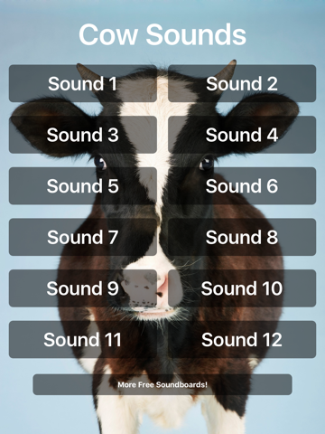 Cow Sounds! - náhled
