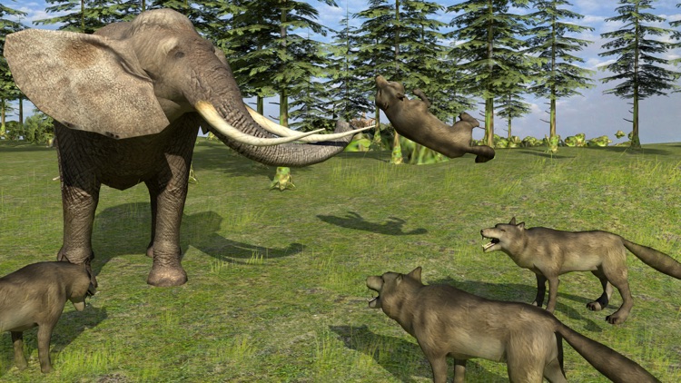 Forest Wild Life Simulator 3D