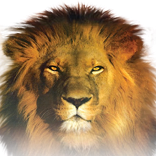 SHOFAR app by Ministry of SHOFAR