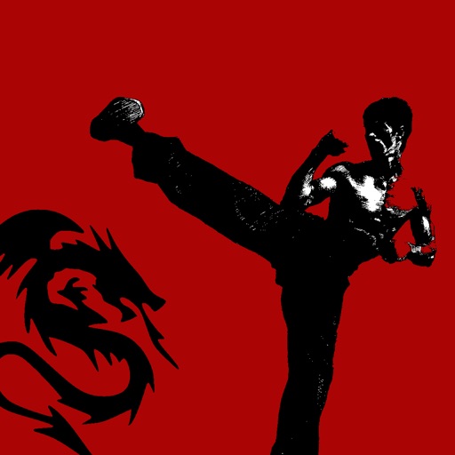30 Min Martial Arts Workout: Fist of Fury Training Edition icon
