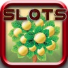 21 Winner Slots Machines - Play Game Holdem Texas