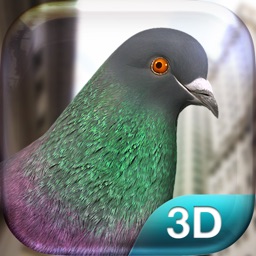 Pigeon Simulator