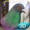 Pigeon - the best city bird flight simulator 3D