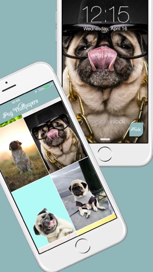 Pug Life HD - PawPapers(圖2)-速報App