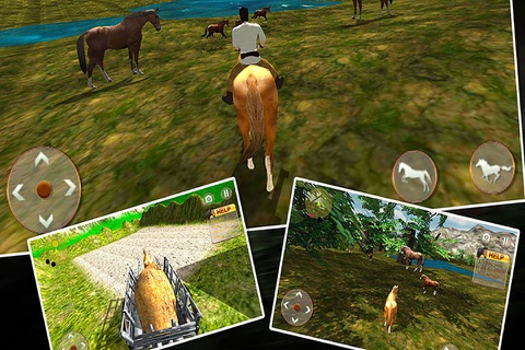Life Of Horse screenshot 3