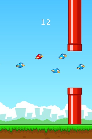 Funny Smash Clumsy Bird Rush screenshot 2