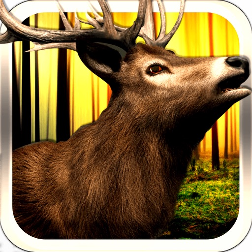 2016 Deer Hunt for Meat 3D ~ Wildlife Deer Hunting simulator icon