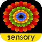Sensory Coloco - Symmetry Painting and Visual Effects