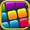 Fruit Block Puzzle Game – Fit Colorful Blocks and Solve HD Levels for Brain Training in10/10 Box
