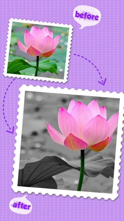 Color Editor FX HD - Recolor Photo & Splash Picture Effects screenshot-4