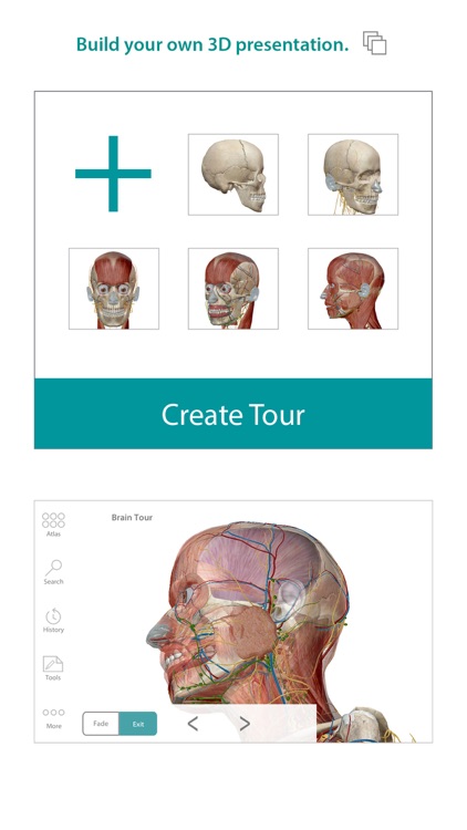 Human Anatomy Atlas – 3D Anatomical Model of the Human Body