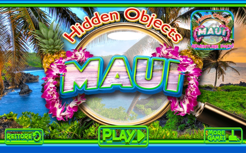 Hidden Objects Maui Island Vacation thumbnail 1
