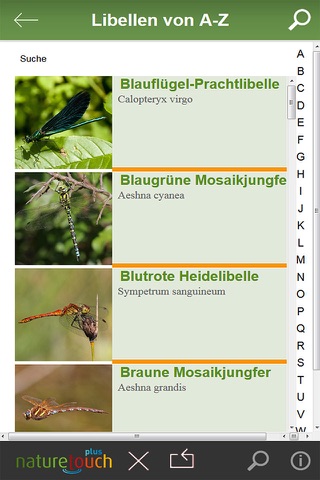Libellen bestimmen screenshot 3